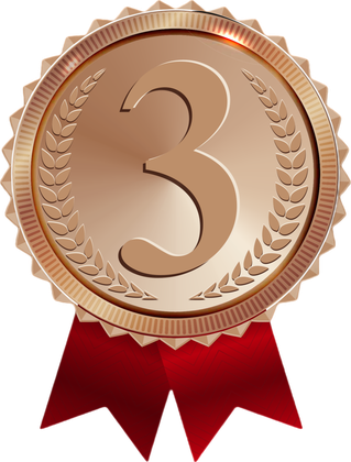 Bronz Madalya